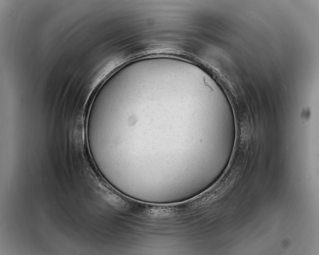 X0000098221274200805011226