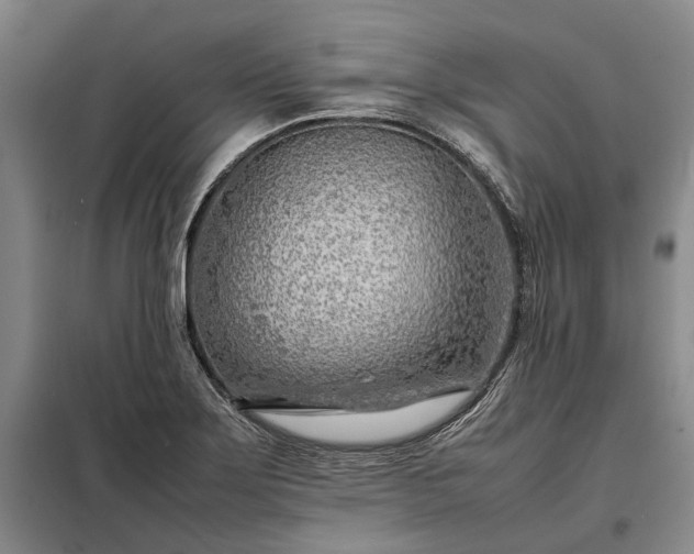 X0000098221275200805011226