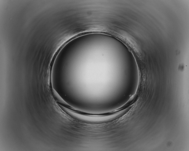 X0000098221276200805011226