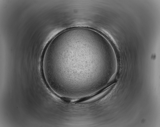 X0000098221277200805011226