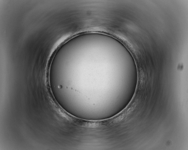 X0000098221278200805011226