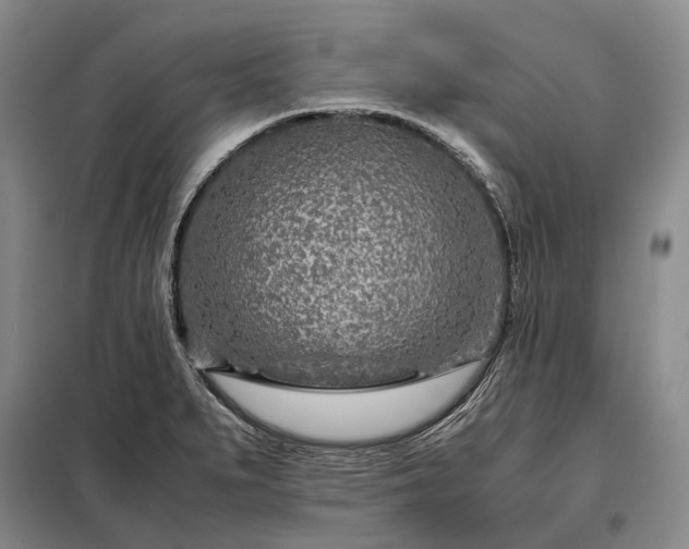 X0000098221279200805011226