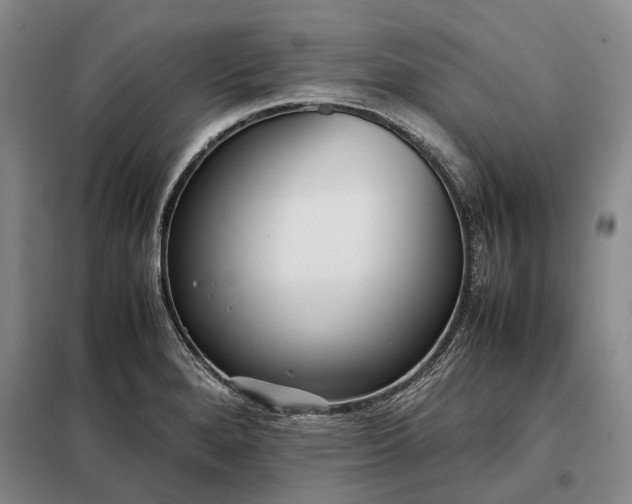 X0000098221280200805011225