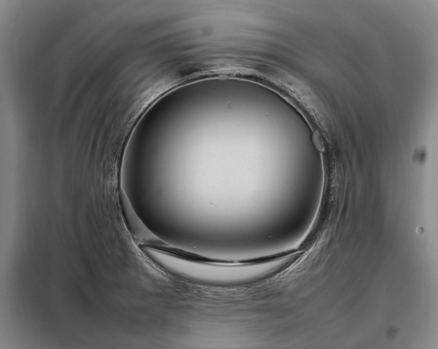 X0000098221281200805011225