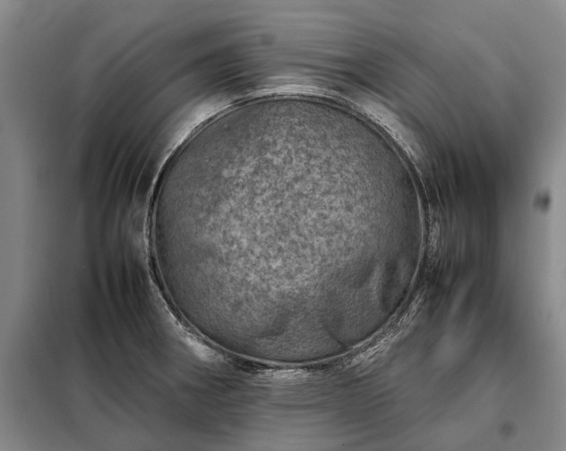 X0000098221282200805011225