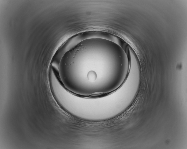 X0000098221283200805011225