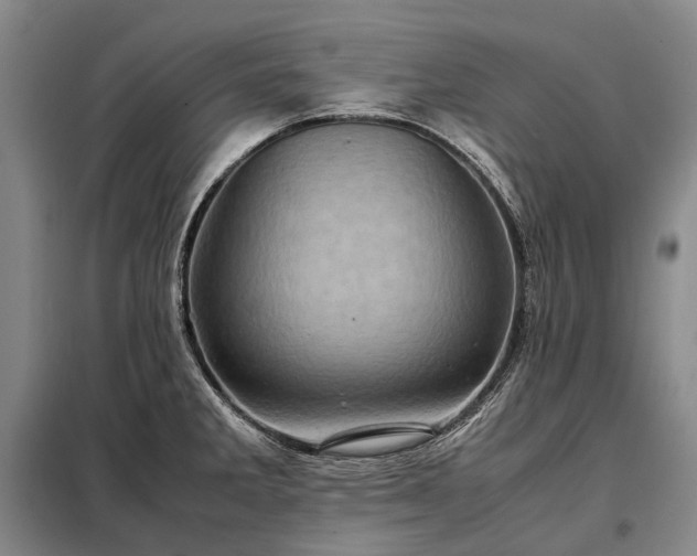 X0000098221285200805011225