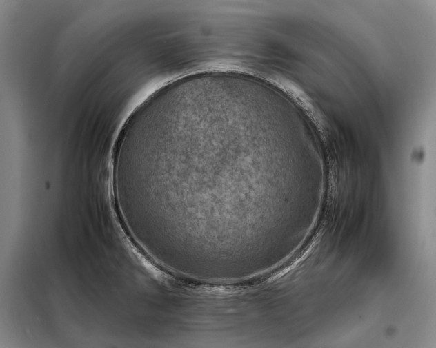 X0000098221286200805011225
