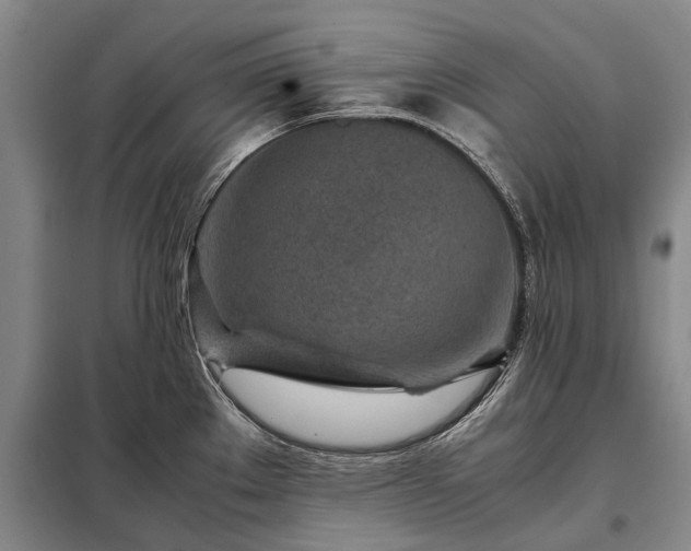 X0000098221289200805011225