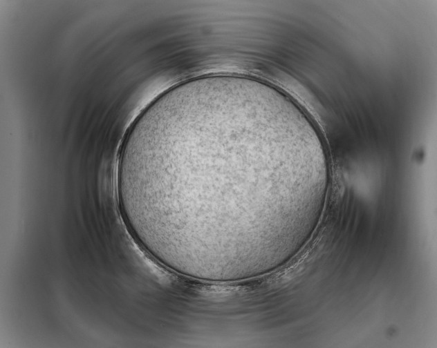 X0000098221290200805011225