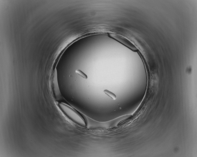 X0000098221293200805011225