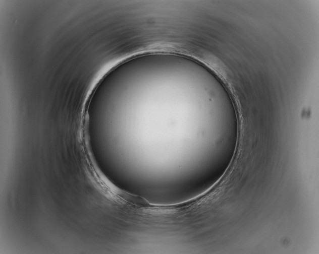 X0000098221296200805011225