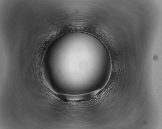 X0000098221297200805011225