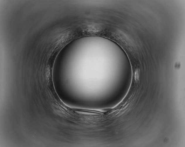 X0000098221299200805011225