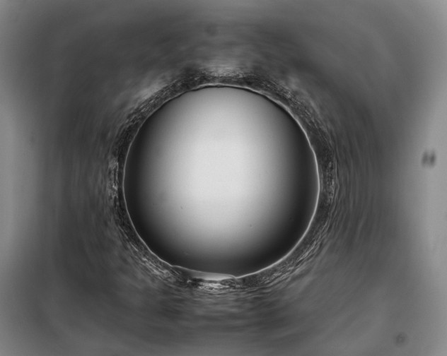 X0000098221301200805011225