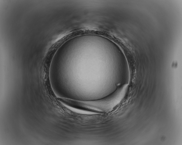 X0000098221303200805011225