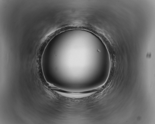 X0000098221304200805011225