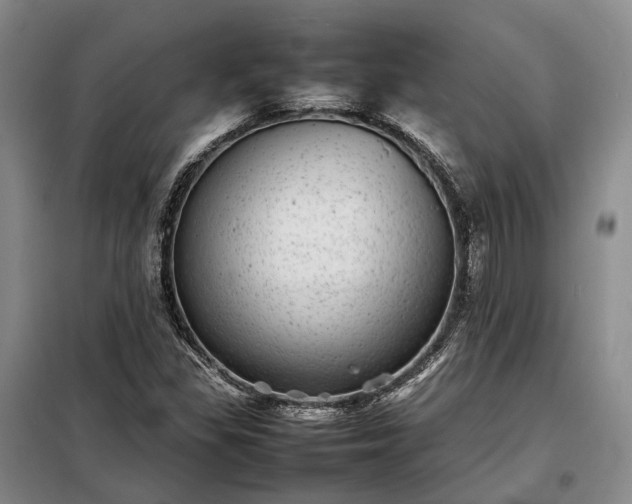 X0000098221309200805011225