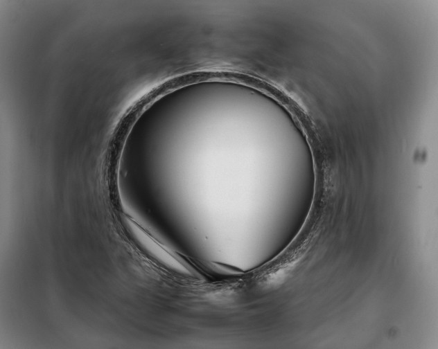 X0000098221311200805011225