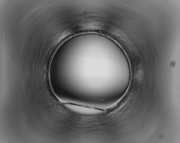 X0000098221313200805011225