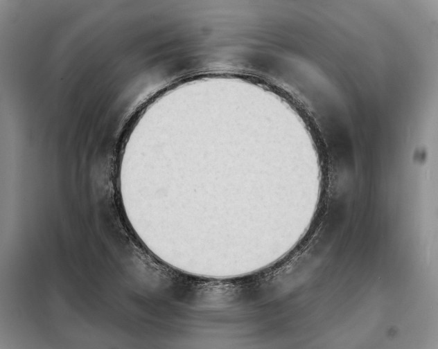 X0000098221314200805011225