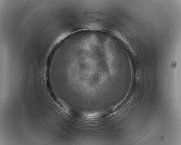 X0000098221315200805011225