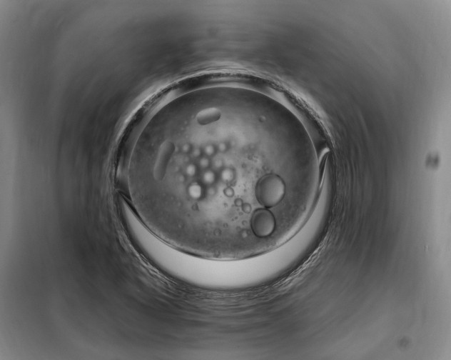X0000098221318200805011225