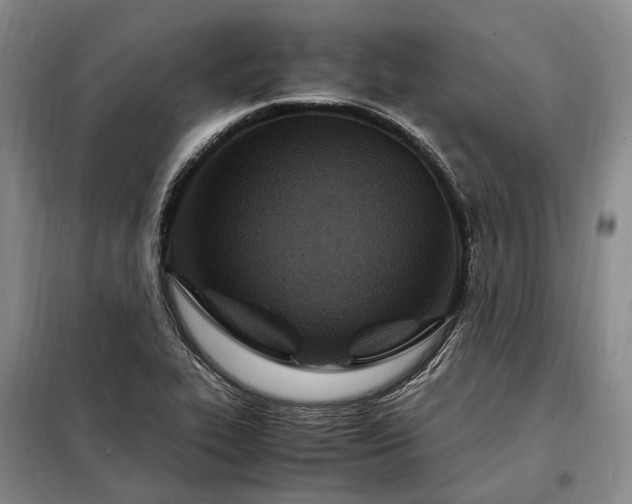 X0000098221319200805011225