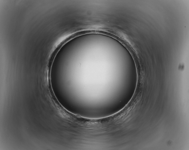 X0000098221320200805011225