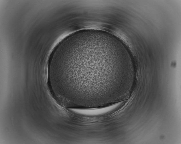 X0000098221323200805011225