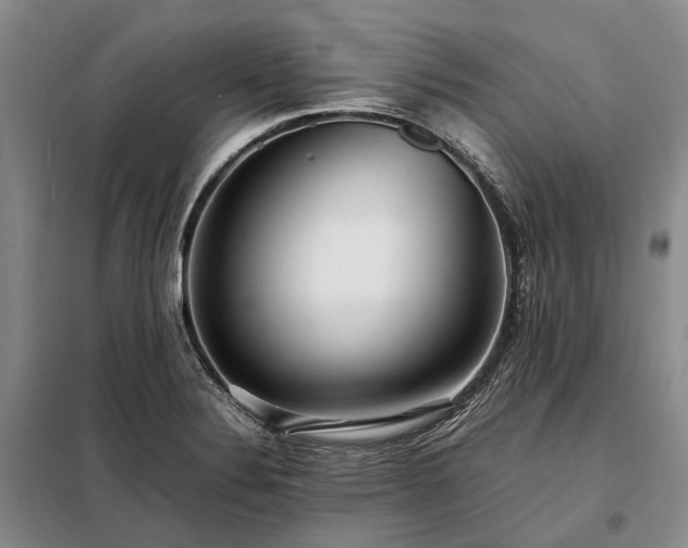X0000098221324200805011225