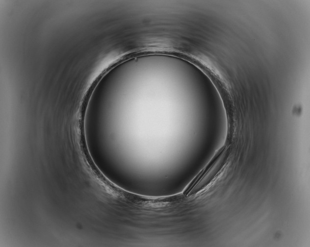 X0000098221325200805011225