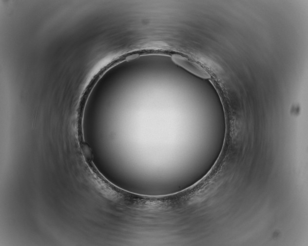 X0000098221326200805011225