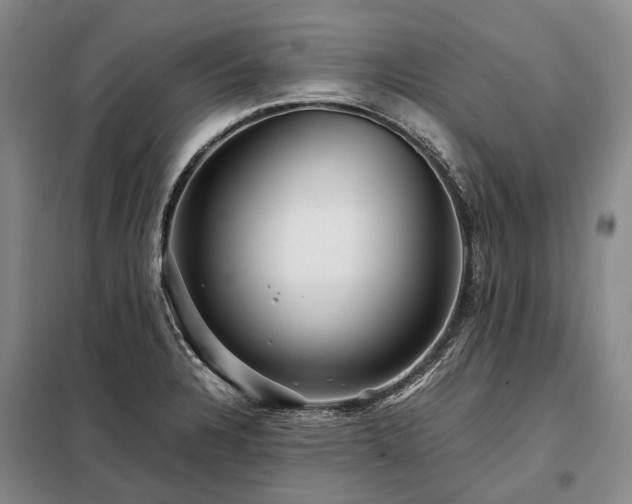 X0000098221328200805011225