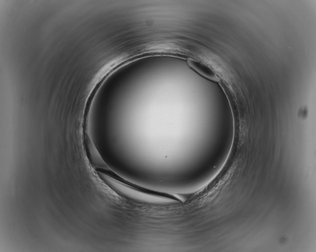 X0000098221330200805011225