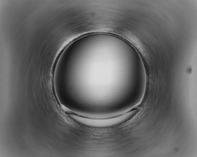 X0000098221332200805011225