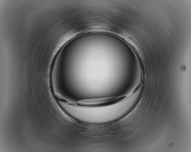 X0000098221333200805011225