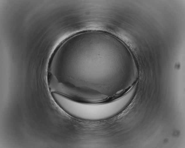 X0000098221334200805011225
