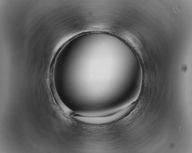 X0000098221336200805011225