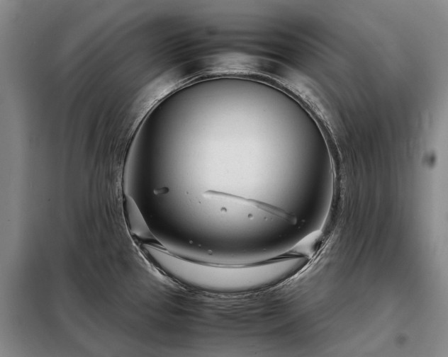 X0000098221337200805011225