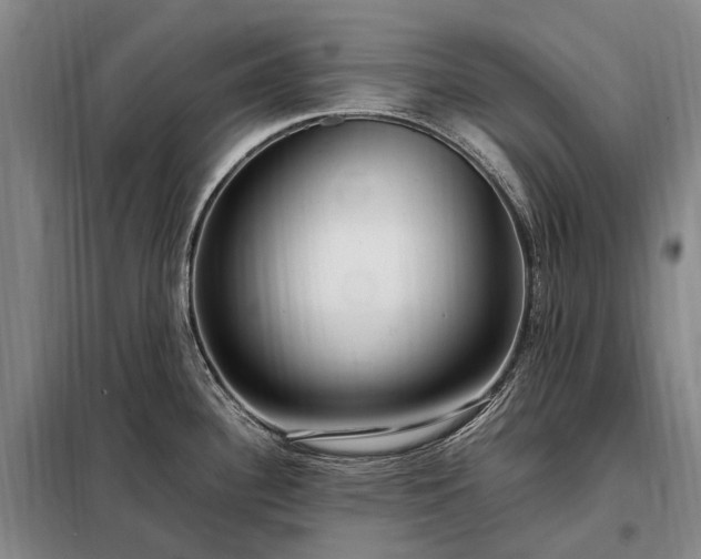 X0000098221340200805011225