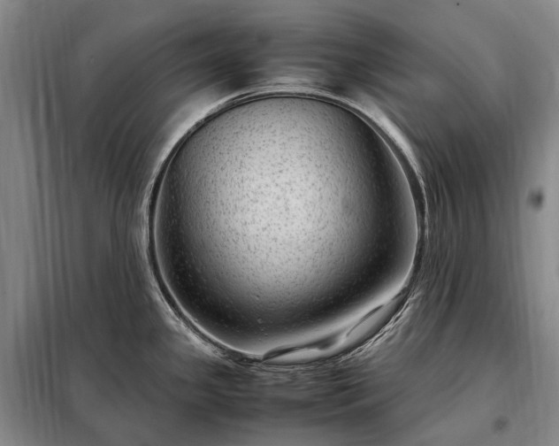 X0000098221341200805011225