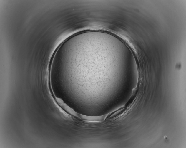 X0000098221343200805011225