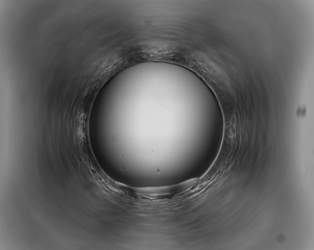 X0000098221346200805011225