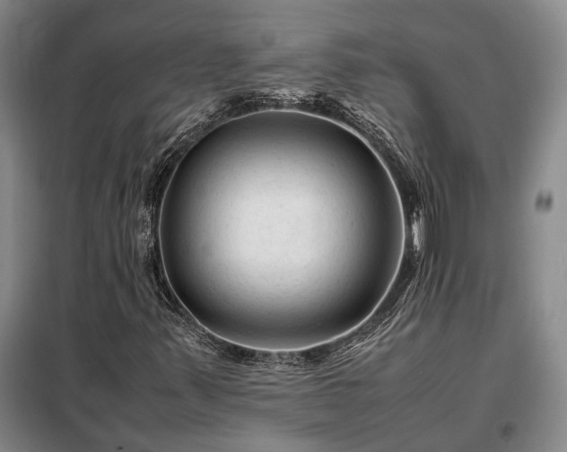X0000098221347200805011225
