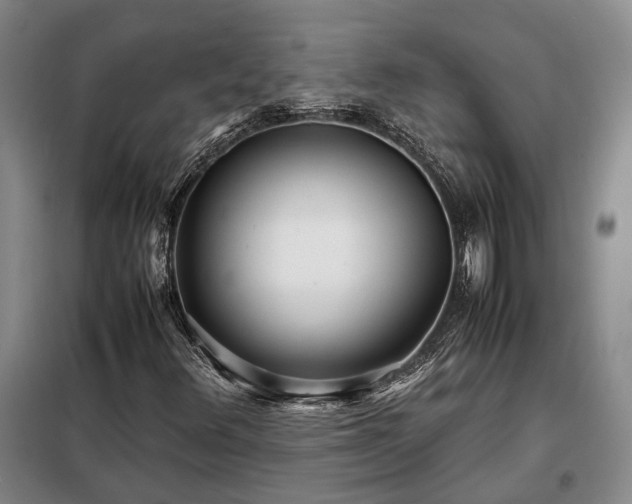 X0000098221348200805011225