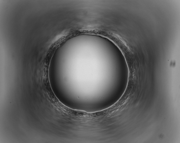 X0000098221350200805011225