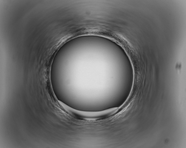X0000098221353200805011224