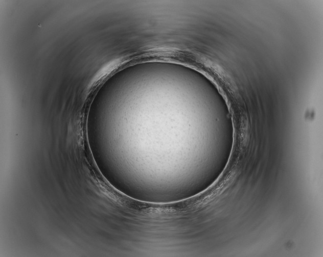 X0000098221354200805011224