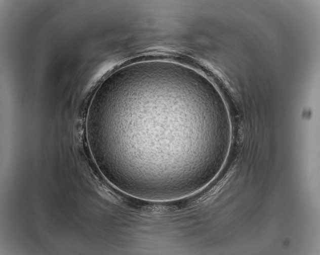 X0000098221355200805011224